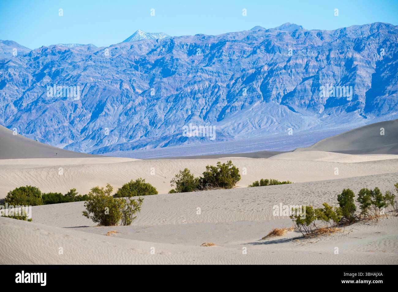 Mesquite Flat Sand Dunes avec chaîne de montagnes et ciel bleu sur fond. Parc national de la vallée de la mort Californie Banque D'Images