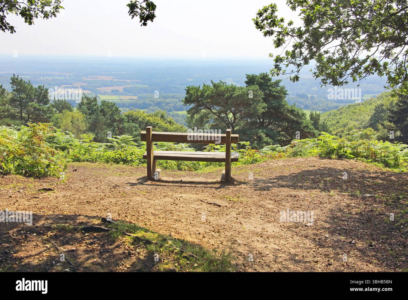 banc sur le black down est le point le plus élevé dans le sussex et le parc national south downs Banque D'Images