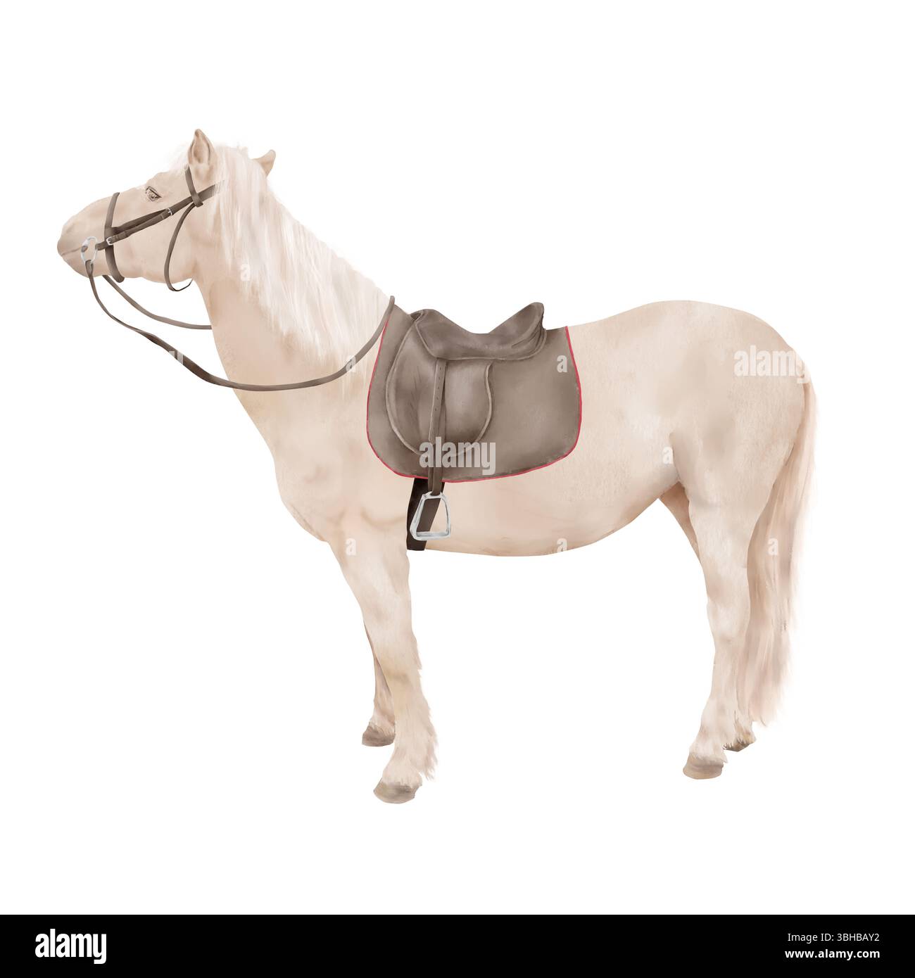 Un cheval avec une crinière blanche et une longue queue, avec une selle et bride. Illustration aquarelle. Un cheval sellé se dressant sur un fond blanc. Banque D'Images