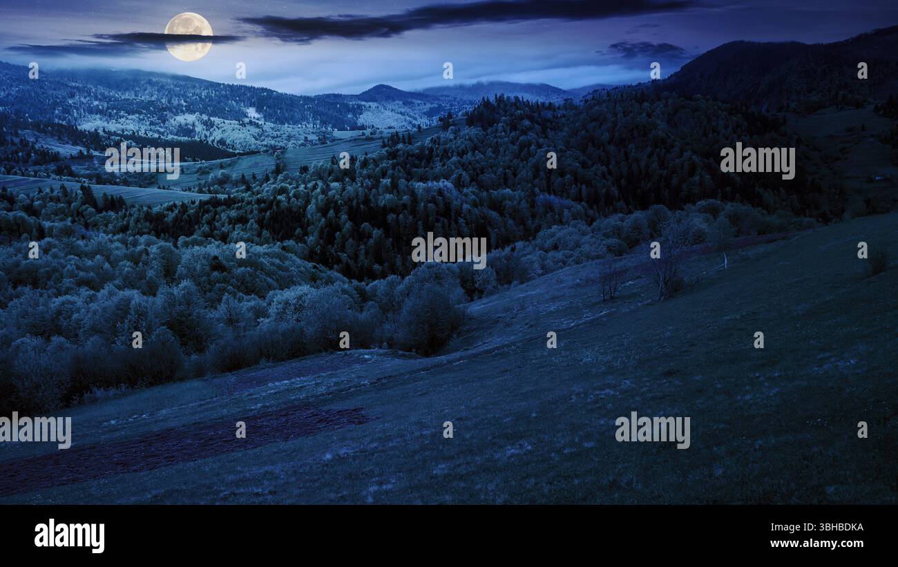 vaste paysage rural en montagne la nuit. collines ondulantes avec forêt et pâturages en pleine lune. ciel étoilé avec des nuages sombres Banque D'Images vaste paysage rural en montagne la nuit. collines ondulantes avec forêt et pâturages en pleine lune. ciel étoilé avec des nuages sombres Banque D'Images