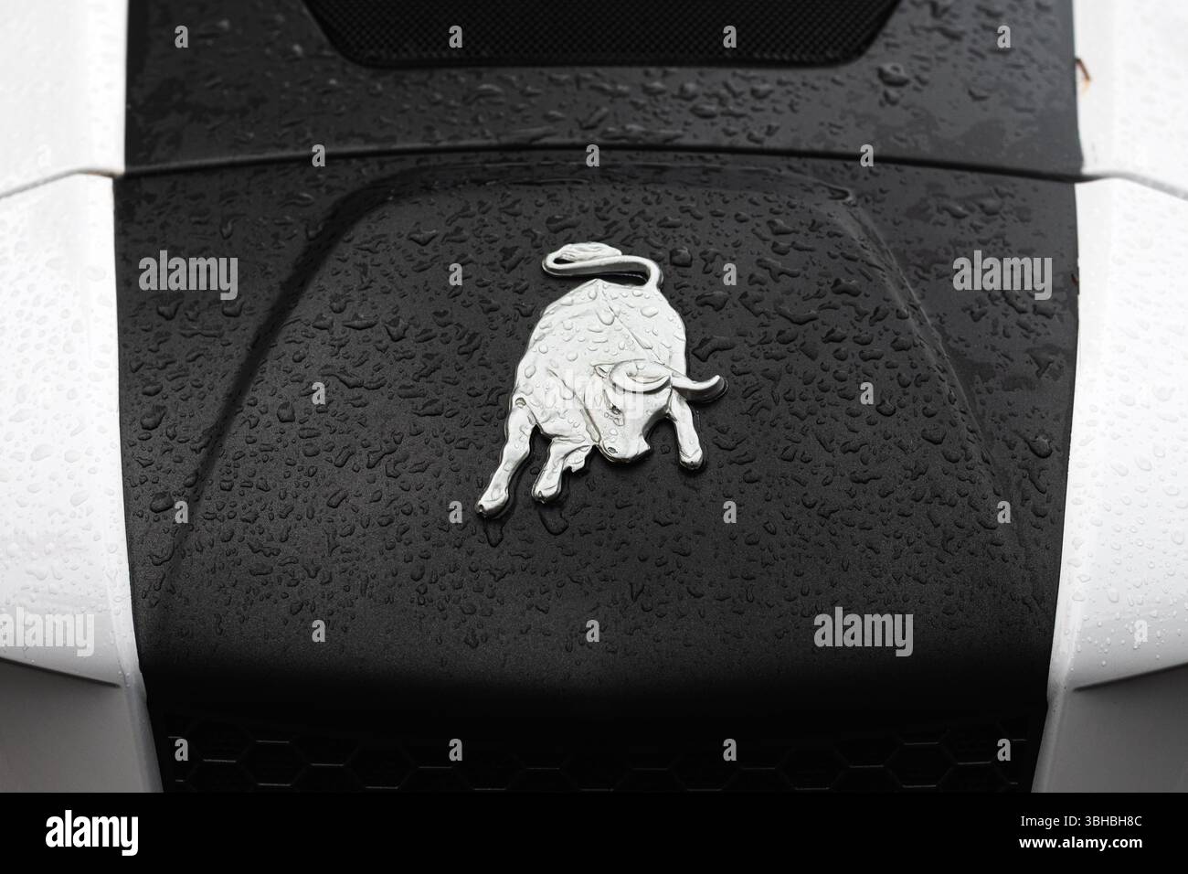 Novi Sad, Serbie - 21 mai 2025 : logo du tracteur Lamborghini sur la 92ème foire agricole. Lamborghini Trattori est un fabricant italien de machines agricoles Banque D'Images