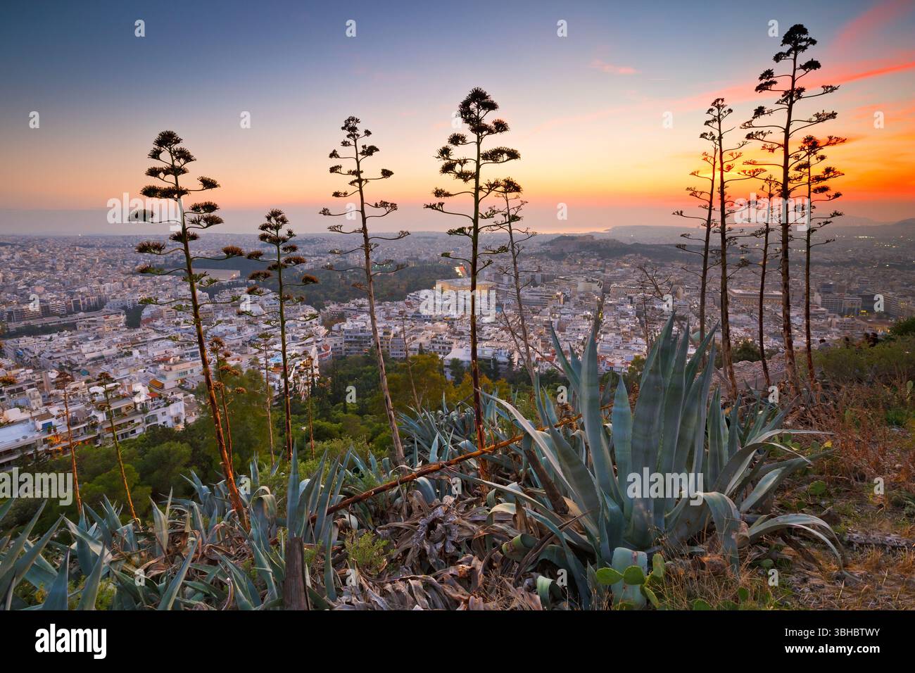 Vue d'Athènes depuis la colline du Lycabette, Grèce. Banque D'Images