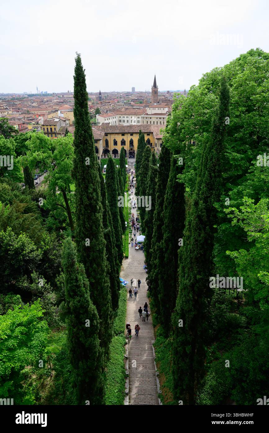 Vérone, Italie - 3 mai 2025 : Giardino Giusti Garden Park avec de grands cyprès Banque D'Images