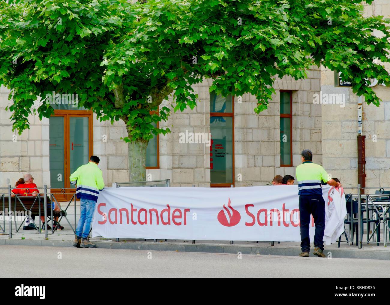 2 ouvriers attachant une bannière Banco Santander 7 juin 2025 la Pasá procession de bétail Tudanca le centre-ville de Santander Cantabrie Espagne Europe Banque D'Images