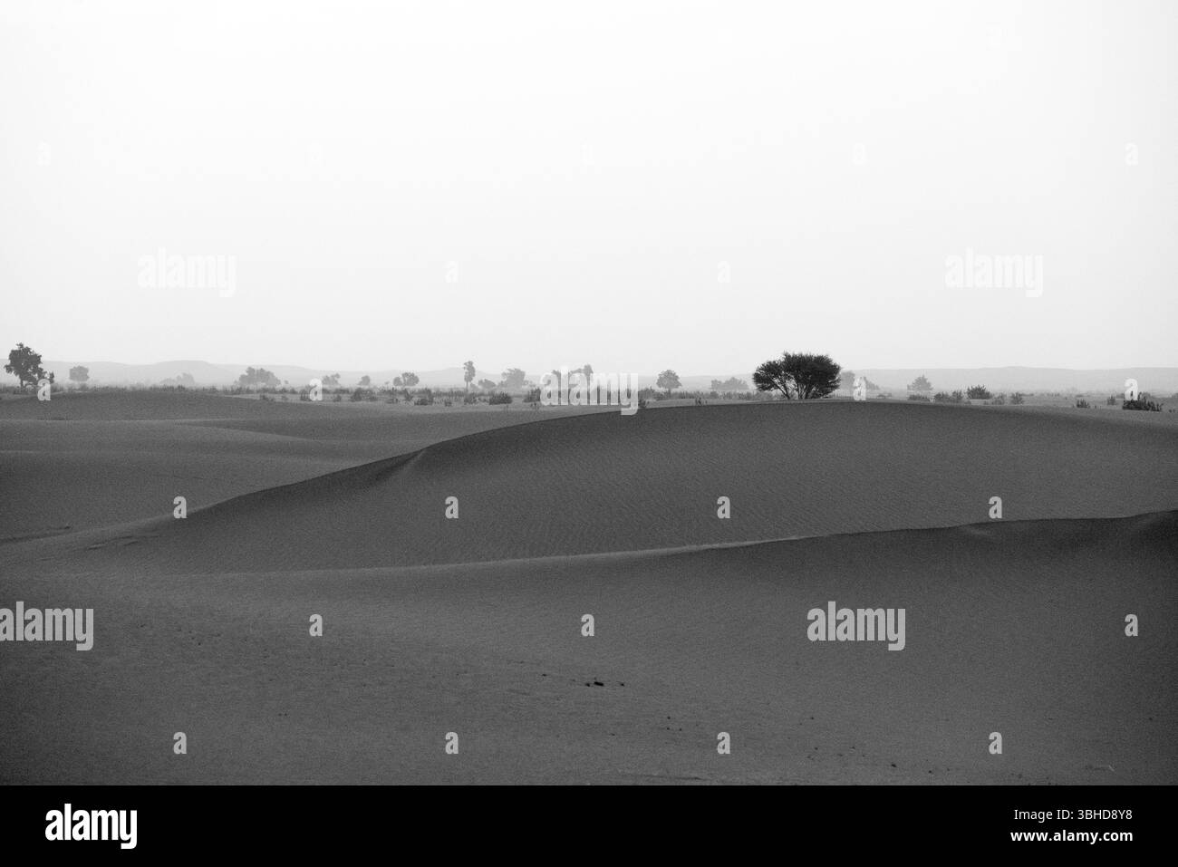 Vue sur le désert de Zagora, entre calme et sérénité, lors d’une authentique journée de bivouac lors d’un voyage au Maroc. Banque D'Images
