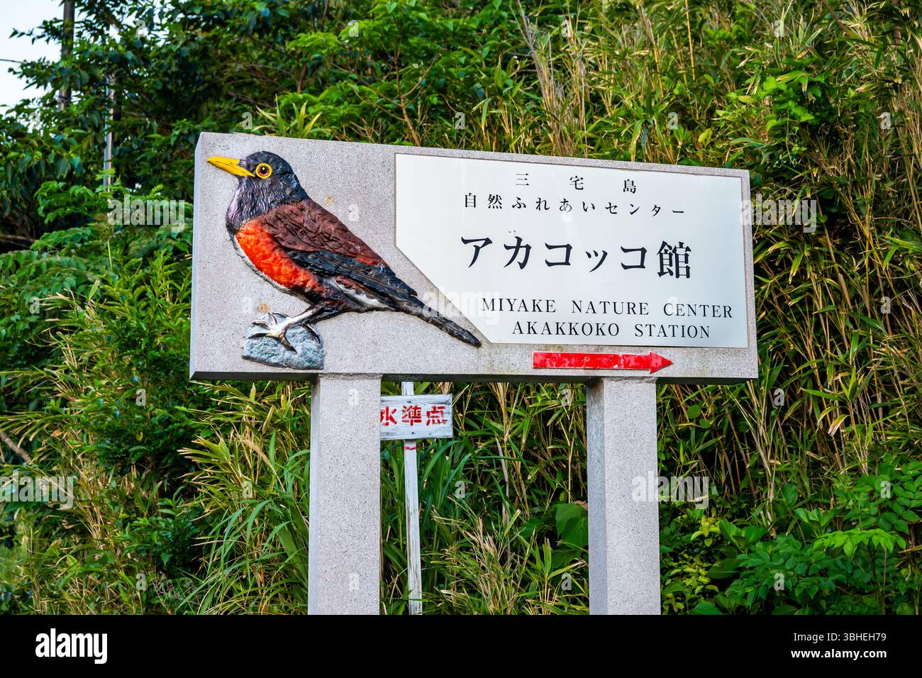 Signez avec l'emblématique grive d'Izu au Wild Bird Park. Miyakejima, Tokyo, Japon. Banque D'Images
