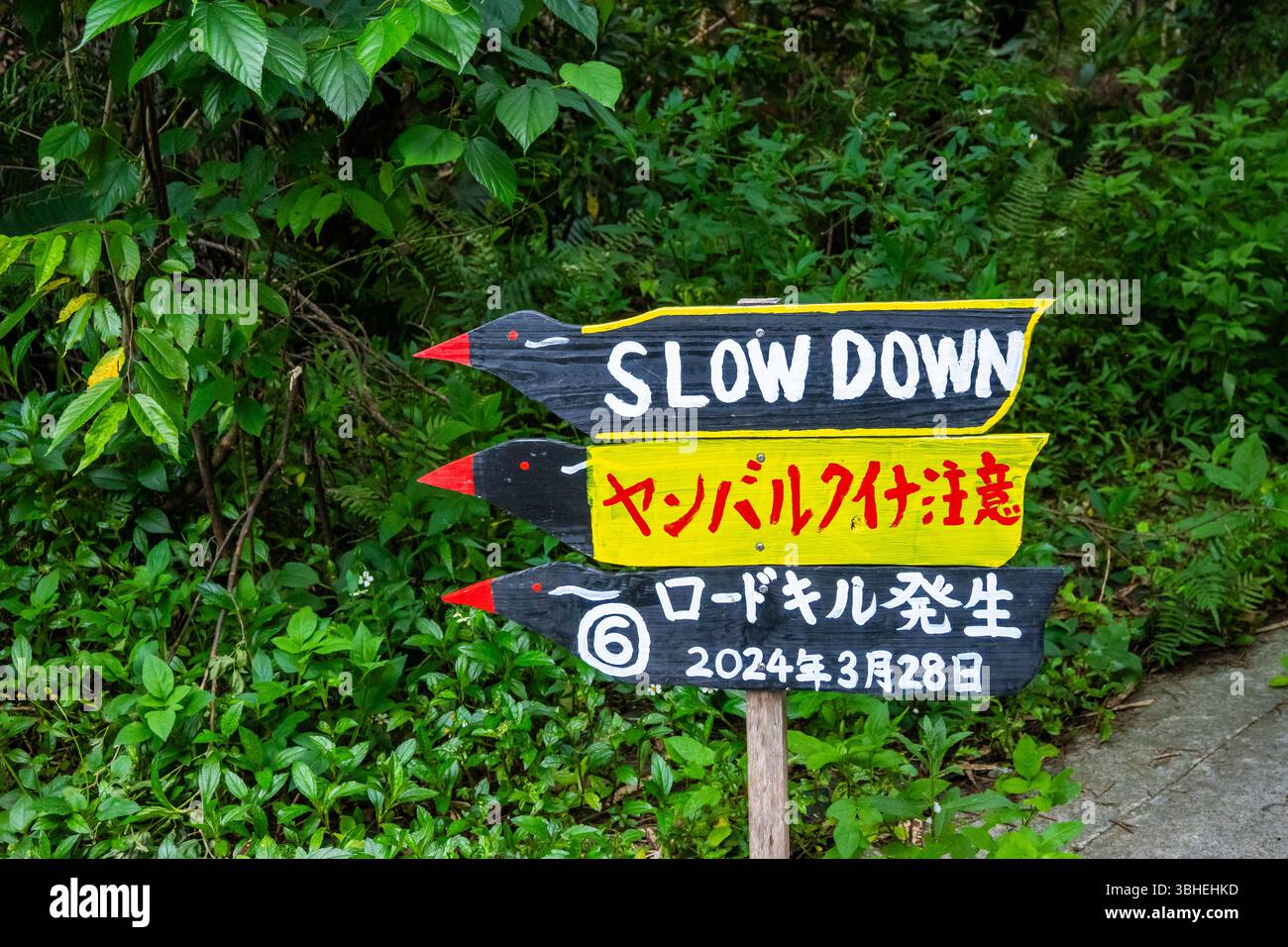 Panneau rappelant aux voitures de ralentir pour le chemin de fer d'Okinawa (Gallirallus okinawae), l'oiseau emblématique de l'île. Okinawa, Japon. Banque D'Images