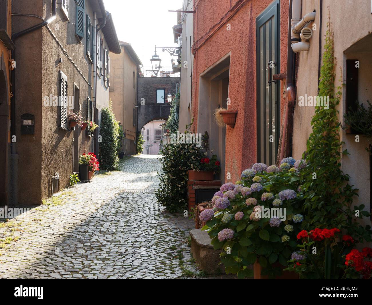 Pittoresque rue étroite avec des fleurs et des maisons traditionnelles dans le centre historique Montefiascone, région du Latium, Italie. 09 juin 2025. Banque D'Images