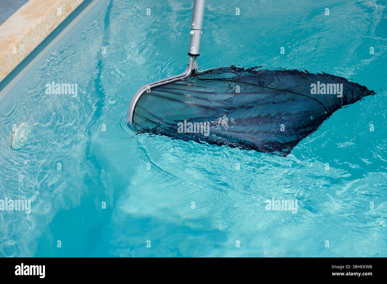 Une personne utilise Un filet écumoire dans Une piscine bleu clair pour enlever les feuilles et les débris. L'eau sereine reflète la lumière du soleil, créant Un guichet automatique paisible Banque D'Images