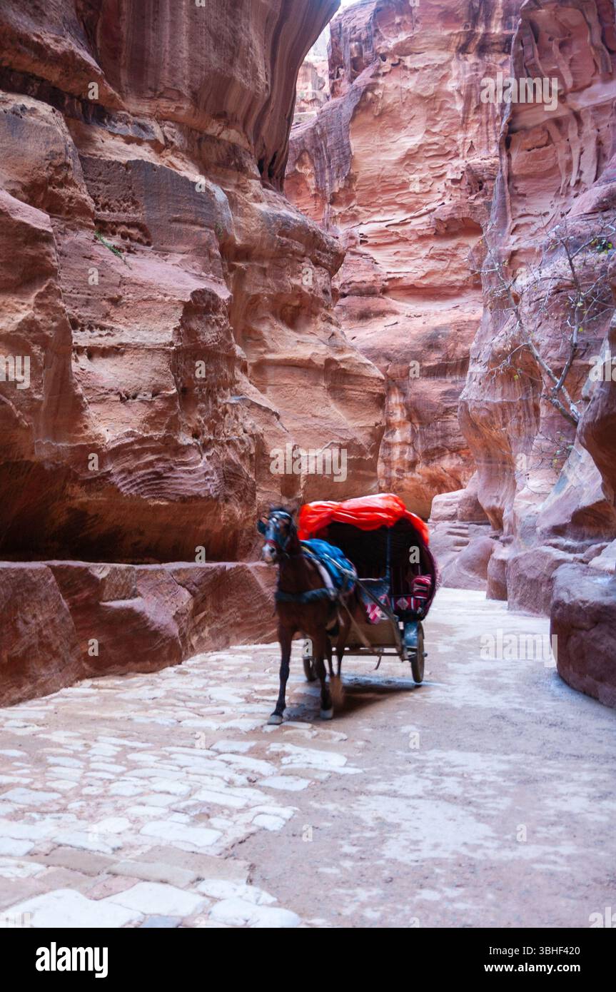 Un cheval tire une charrette sur un chemin étroit. Le chariot est couvert d'une couverture rouge Banque D'Images