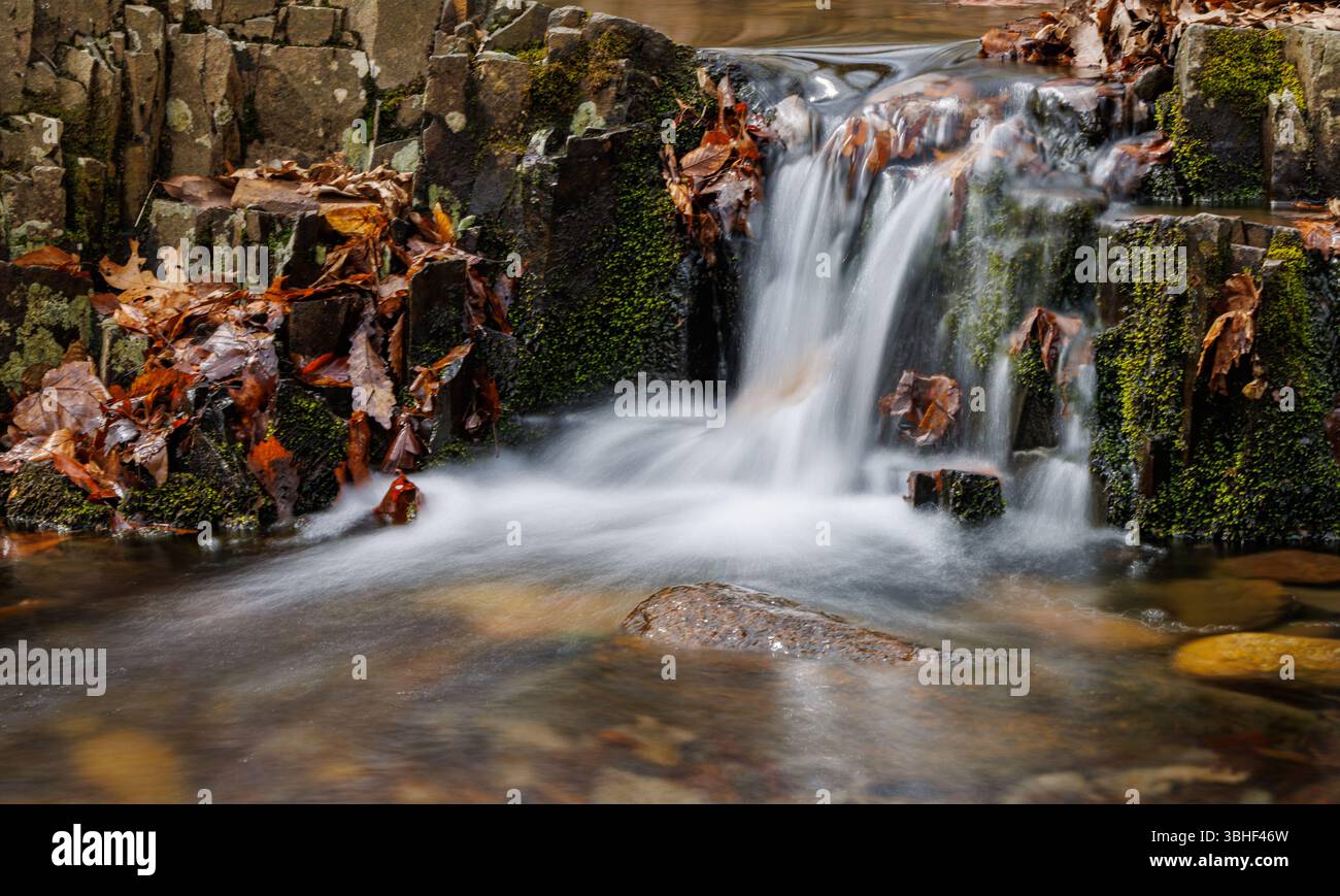 Une douce cascade boisée coule sur des formations rocheuses moussues, entourées de feuilles d'automne tombées et d'un ruisseau lisse et clair dans une forêt. Banque D'Images