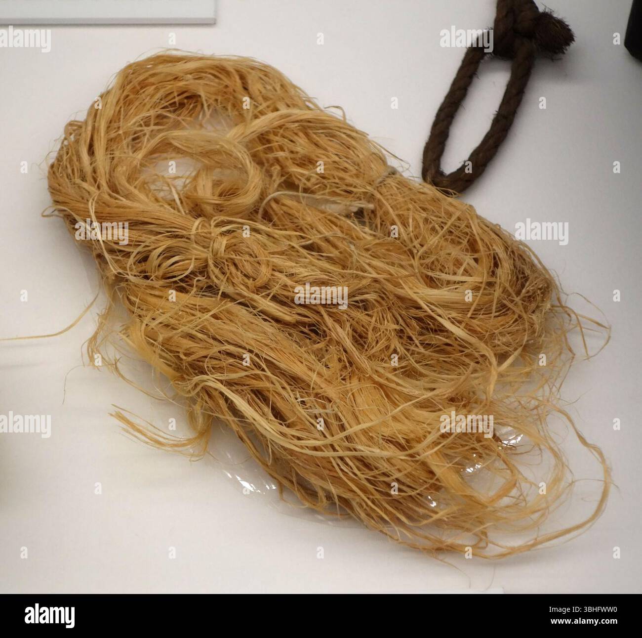 Tamis de kava, Samoa, fait d'Hibiscus tiliaceus Banque D'Images