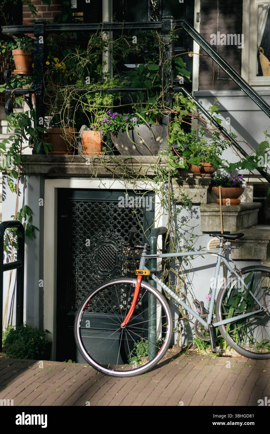 Plante ornée étapes Bicycle Amsterdam quartier Banque D'Images