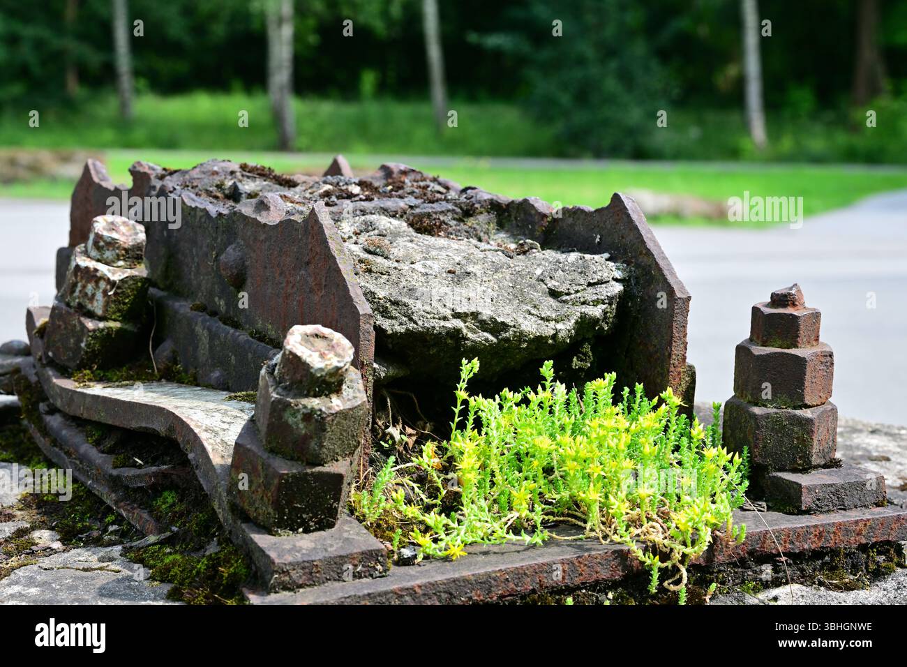 support en acier rouillé boulonné à la plaque de base avec un écrou et un boulon et mauvaises herbes au premier plan Banque D'Images