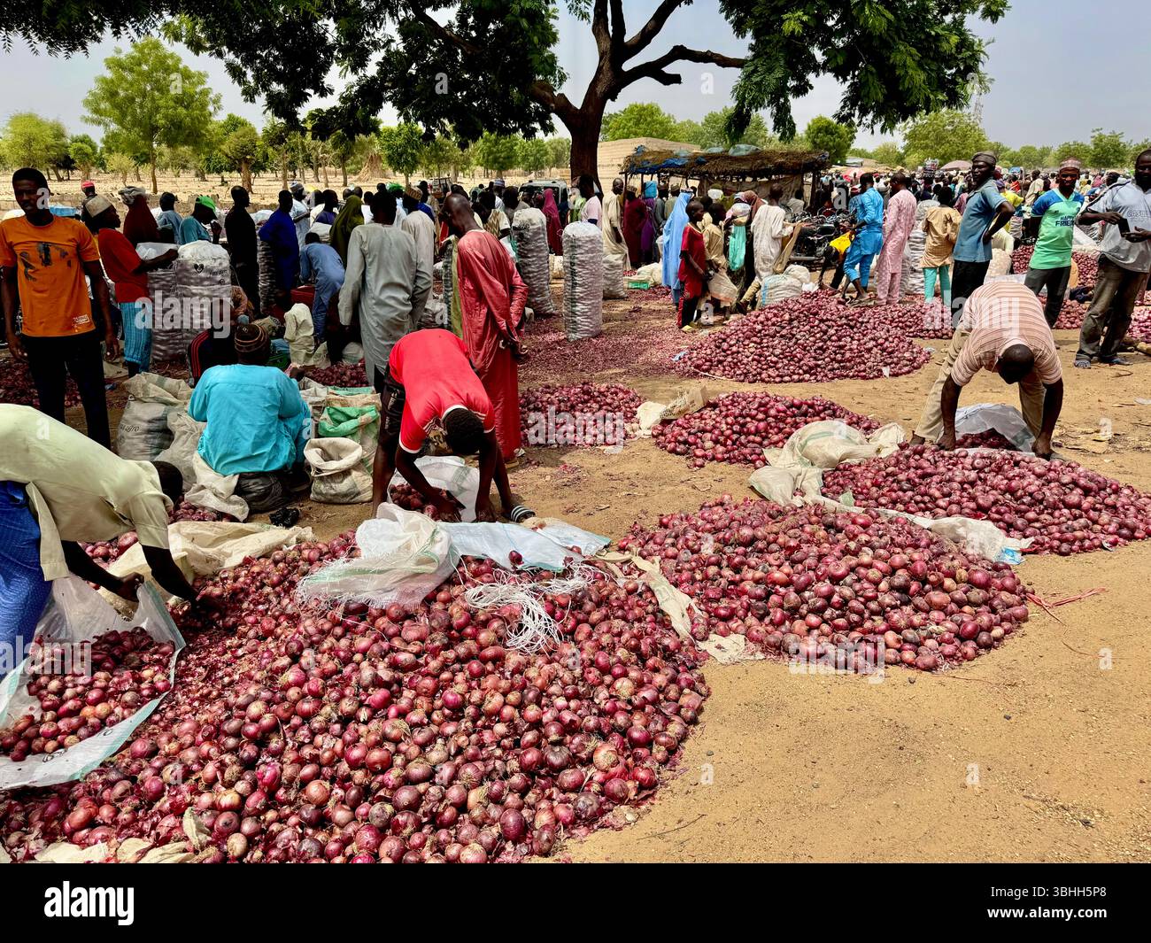 Scène animée du marché aux oignons dans une ville nigériane, mettant en valeur le commerce local, les produits colorés et le commerce quotidien dynamique. Banque D'Images