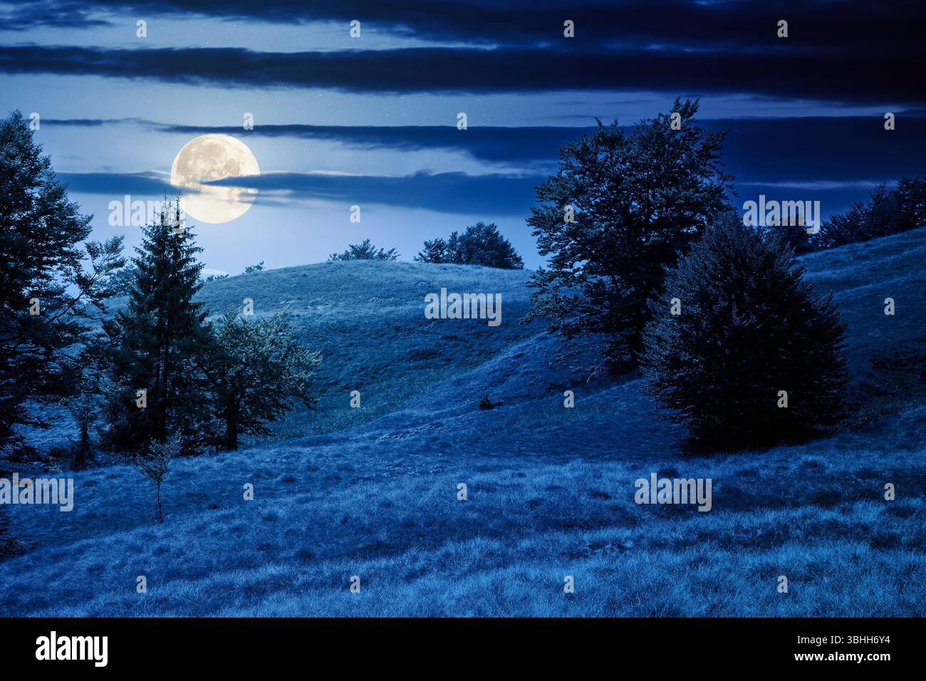 forêt de hêtres sur la colline herbeuse la nuit. paysage alpin avec des arbres aux feuilles luxuriantes. bois primitifs en pleine lune. nuages sombres sur le ciel Banque D'Images forêt de hêtres sur la colline herbeuse la nuit. paysage alpin avec des arbres aux feuilles luxuriantes. bois primitifs en pleine lune. nuages sombres sur le ciel Banque D'Images