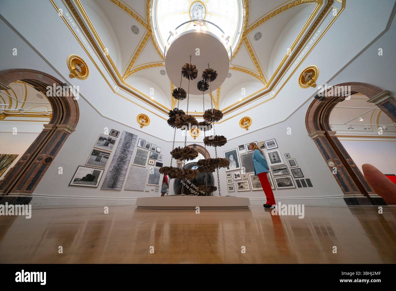 (Réservé à la presse éditoriale) Royal Academy of Arts, Burlington House, Londres, Royaume-Uni. 10 juin 2025. Organisée chaque année depuis 1769, l'exposition d'été RA 2025 revient du 17 juin au 17 août. Les œuvres contemporaines exposées comprennent des estampes, des peintures, des films, de la photographie, de la sculpture, et des œuvres architecturales de noms familiaux et de talents émergents. Image : The Wohl Central Hall avec le Body Shop d’Alice Chandler occupant l’espace central, installation de plumes d’autruche inspirée d’une visite d’une usine de voitures de luxe. Crédit : Malcolm Park/Alamy Live News Banque D'Images
