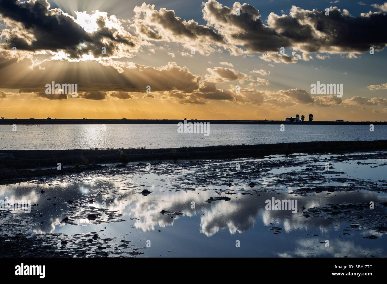 Un coucher de soleil vibrant illumine les rizières de l'Isla Mayor, créant des reflets époustouflants sur l'eau tandis que les nuages dérivent au-dessus. Banque D'Images