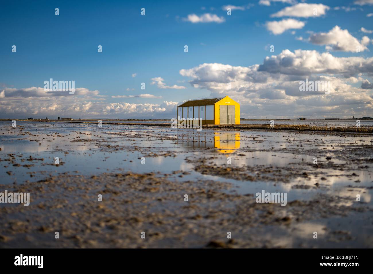 Un grenier jaune vif émerge des rizières inondées d'Isla Mayor après la récolte, se reflétant sur l'eau sous un ciel bleu. Banque D'Images