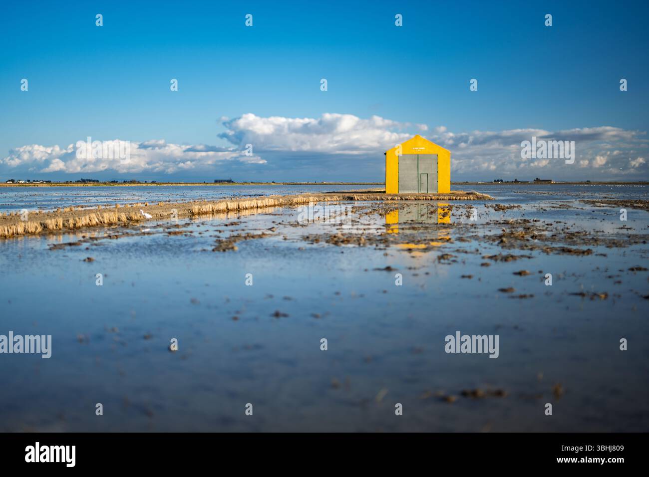 Un grenier jaune vif est entouré de rizières inondées après la récolte à Isla Mayor, Séville, mettant en valeur la beauté de ce paysage. Banque D'Images
