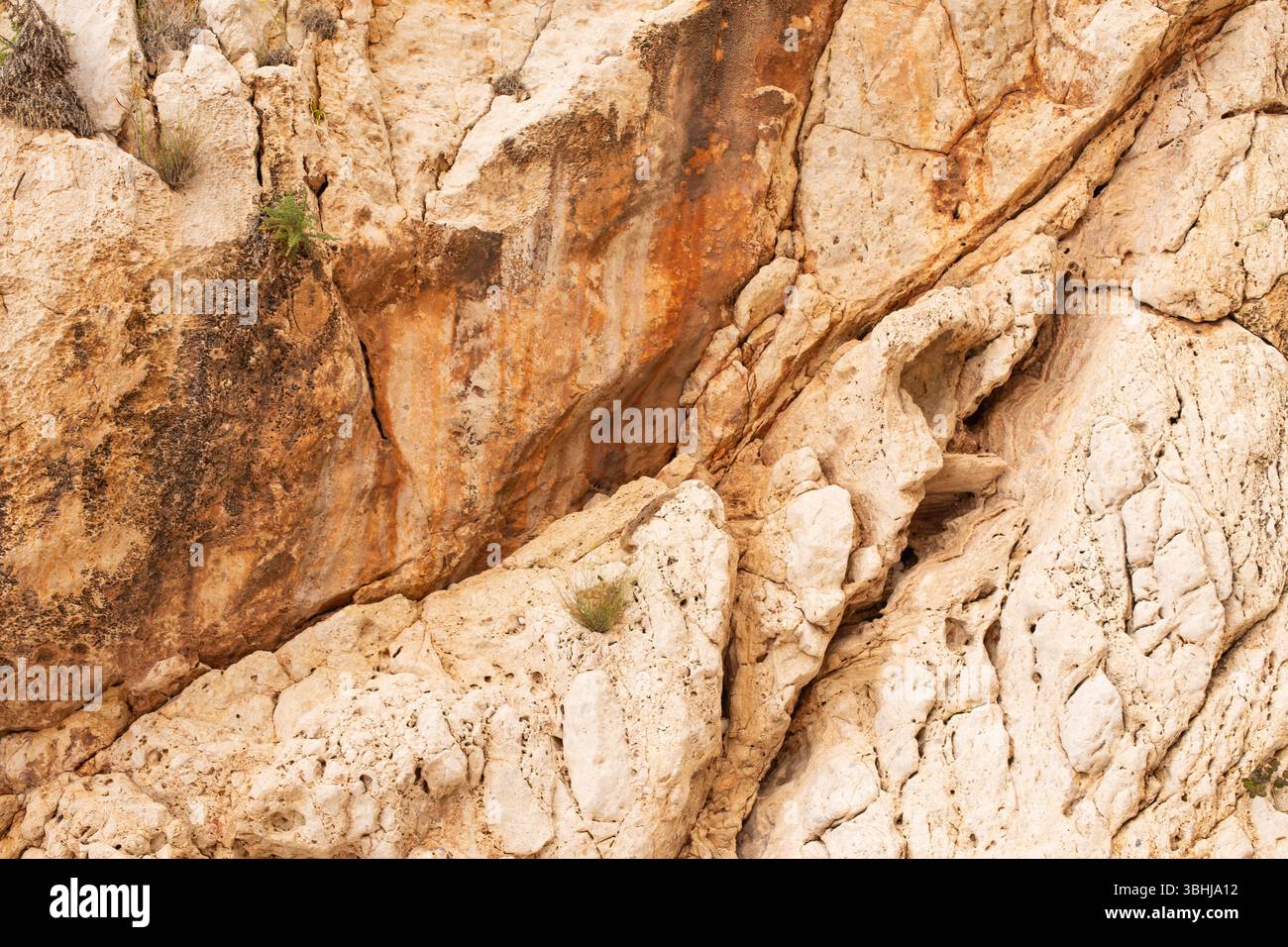Vue rapprochée d'une paroi rocheuse rugueuse avec des textures colorées et de petites plantes poussant dans des fissures. Montagne beau fond naturel. Banque D'Images