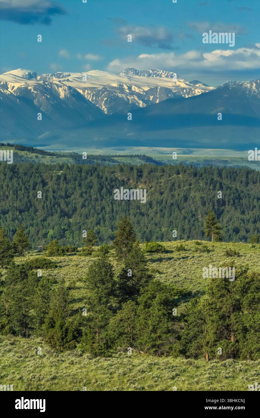 pic de granit et plateau gelé à mort dans les montagnes beartooth vues depuis les contreforts près de columbus, montana Banque D'Images