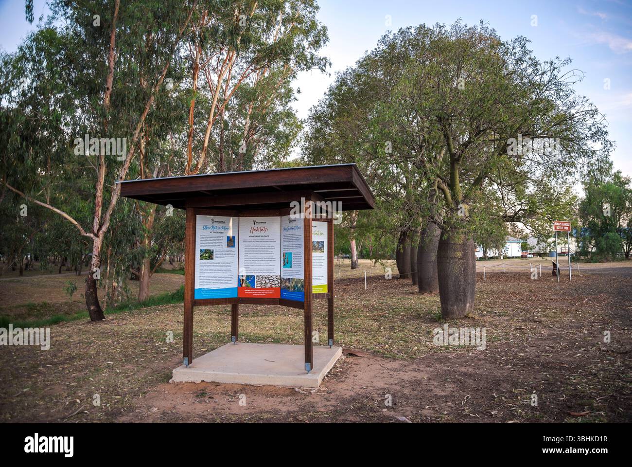 Local Park information Board in rural Area Encerned by Bottle Trees and nature, Roma, Australie, 28 novembre 2020 Banque D'Images