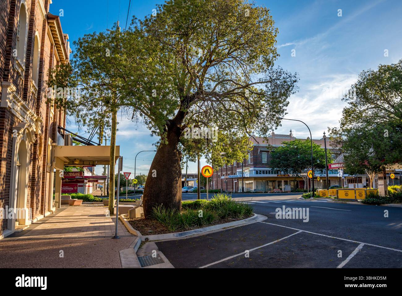 Vue sur la rue du centre-ville historique avec grand arbre à bouteilles et trottoir piétonnier dans la lumière de l'après-midi, Roma, Australie, 29 novembre 2020 Banque D'Images
