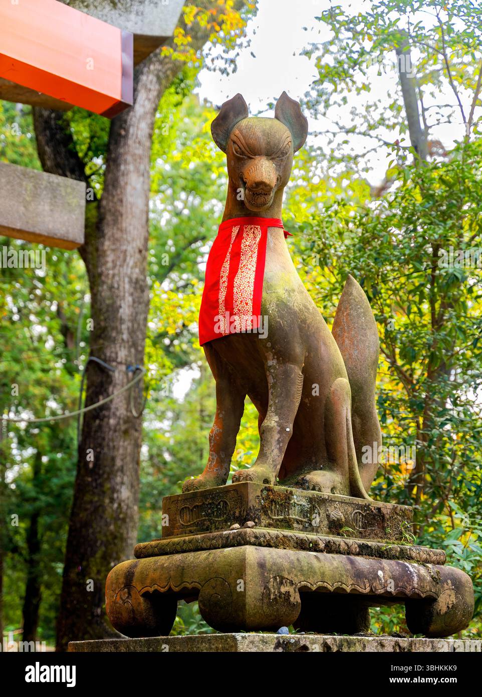 Statue colorée du renard Tori Gate Fushimi Inari Shinto Sanctuaire Kyoto Japon. Sanctuaire à Inari Shinto Dieu du riz. Les messagers d'Inari sont des renards, sanctuaire construit Banque D'Images