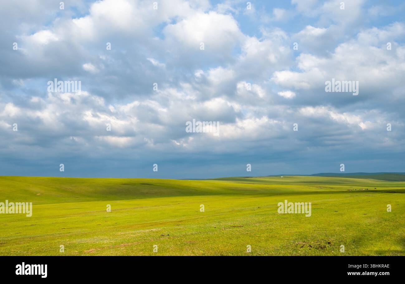 Prairies ouvertes à Hulunbuir, Mongolie intérieure, Chine. Banque D'Images