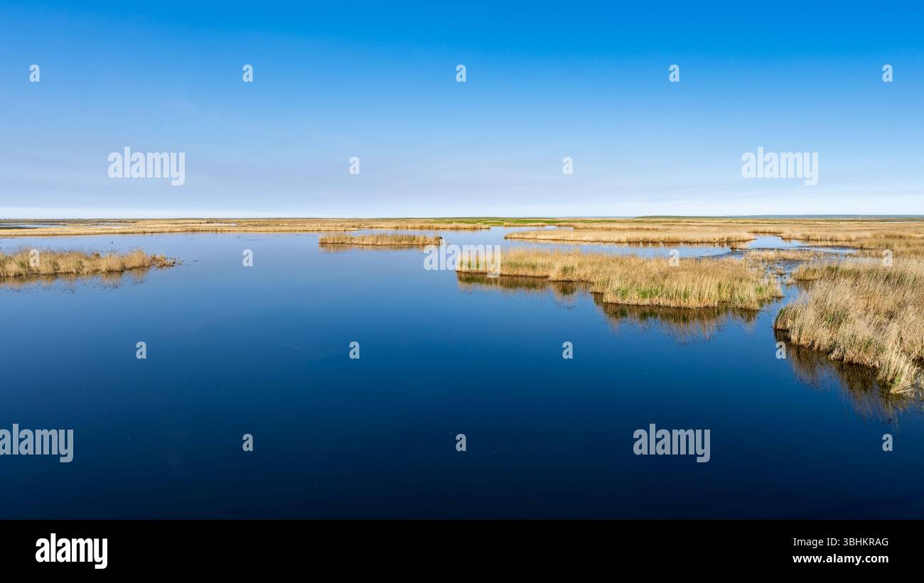 Beau marais et lac à Hulunbuir, Mongolie intérieure, Chine. Banque D'Images