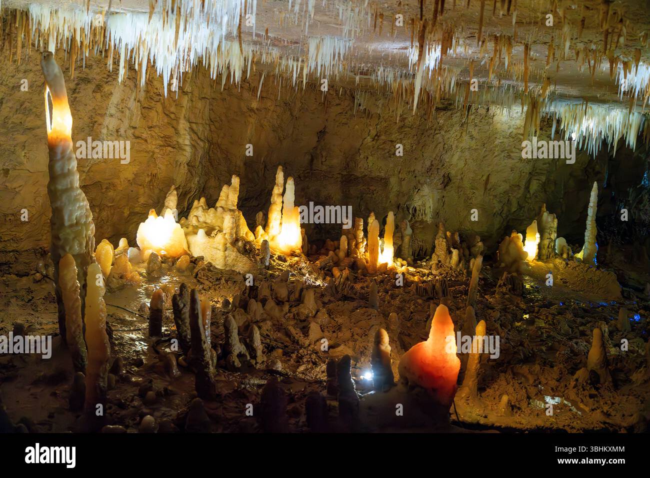 Magnifiques formations calcaires avec stalactites et stalagmites créant une architecture de cathédrale naturelle dans la grotte souterraine de Tourtoirac, France Banque D'Images