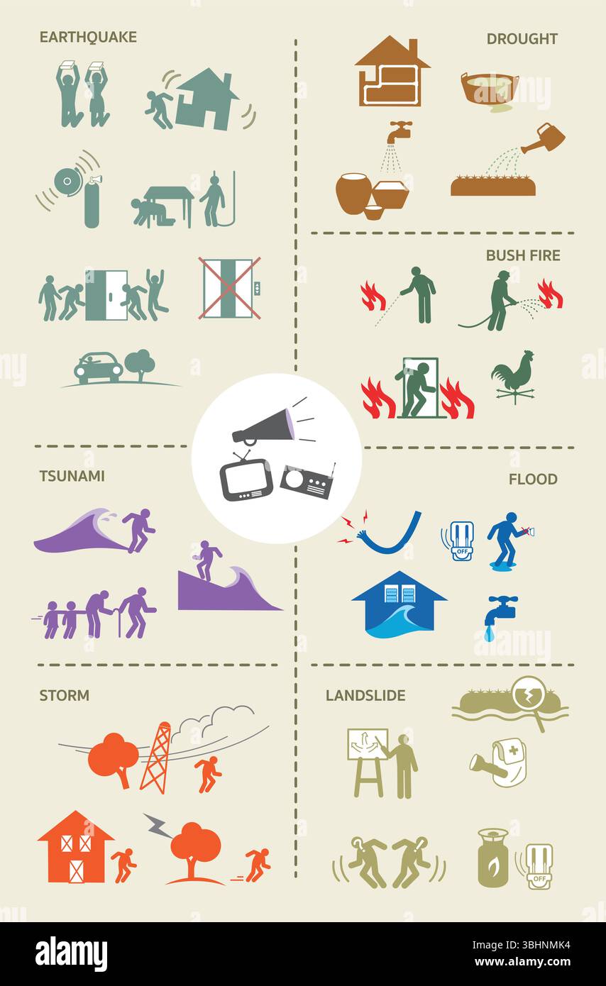 Les éléphants portent des vêtements de football jouant au football Illustration de Vecteur