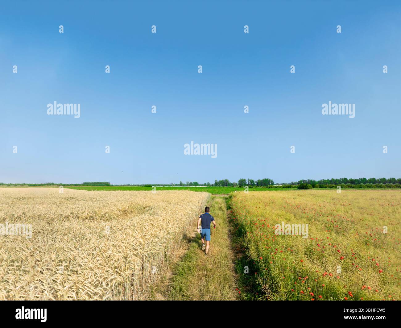 Déterminé homme de 40 ans courir dans la nature pour améliorer sa santé. Concept de bien-être. Banque D'Images