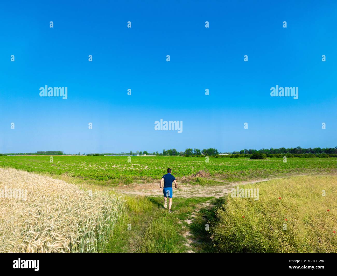 Un homme courant dans un champ et venant à deux chemins. Concept de motivation. Banque D'Images
