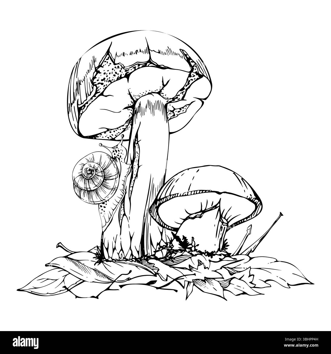 Suillus mélèze bolete champignons de jack glissants avec escargot rampant, sur le dessus de feuilles d'automne empilées avec des brindilles. Illustration de la nature des champignons dessinée à la main Illustration de Vecteur