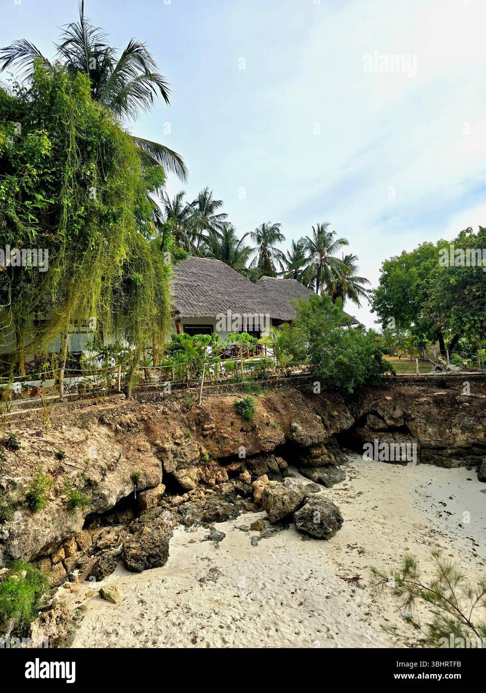 Cabane traditionnelle au toit de palmier sur une plage de sable blanc entourée de cocotiers, Zanzibar, Tanzanie - paysage d'île tropicale en Afrique de l'est. - Image de stock capturée avec un smartphone
