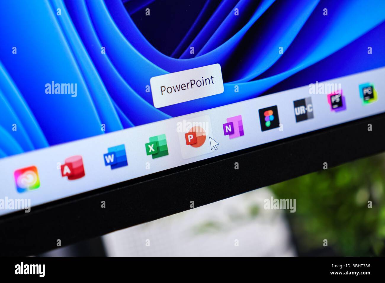 Poznan, Pologne - 6 juin 2025 : icône de l'application PowerPoint, bien visible sur la barre des tâches de Windows 11, représentant les logiciels essentiels pour DIGIT Banque D'Images