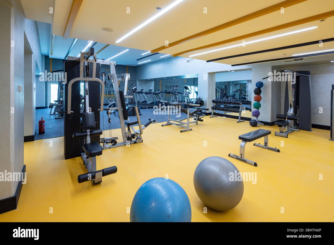 Équipement sportif dans la salle de gym. Espace sportif lumineux et élégant. Expanseurs et simulateurs avec haltères lourds. Banc presse, sport pour un corps solide Banque D'Images