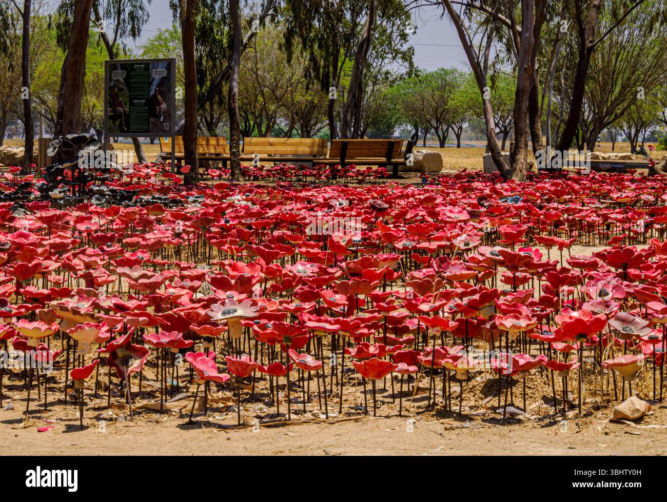 30 000 anémones céramiques (kalaniot) placées comme mémorial , site commémoratif du Nova Festival Banque D'Images