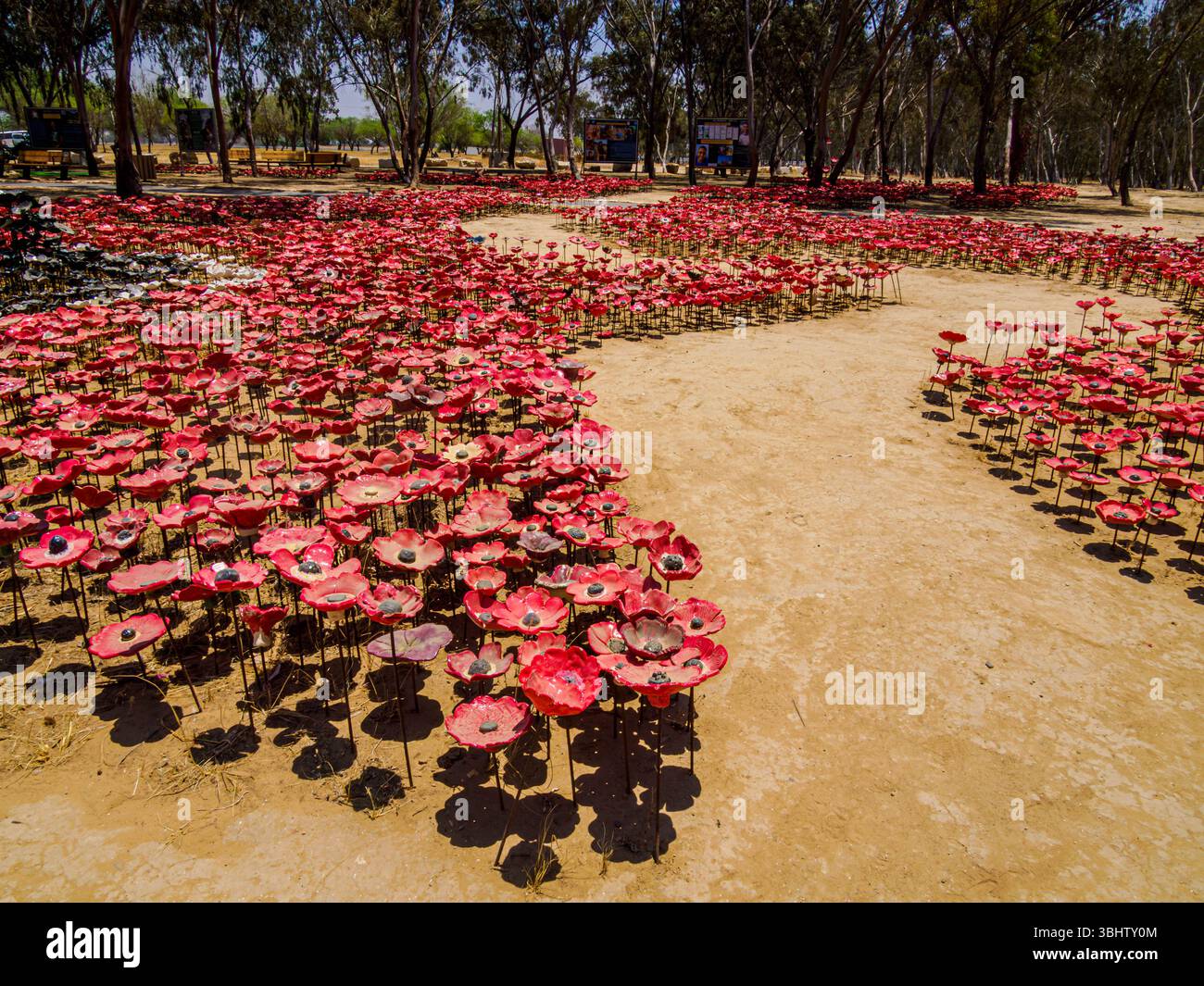 30 000 anémones céramiques (kalaniot) placées comme mémorial , site commémoratif du Nova Festival Banque D'Images