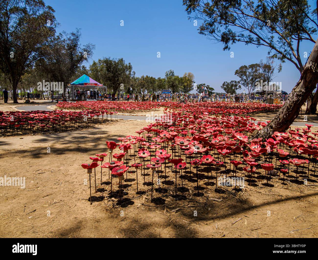 30 000 anémones céramiques (kalaniot) placées comme mémorial , site commémoratif du Nova Festival Banque D'Images