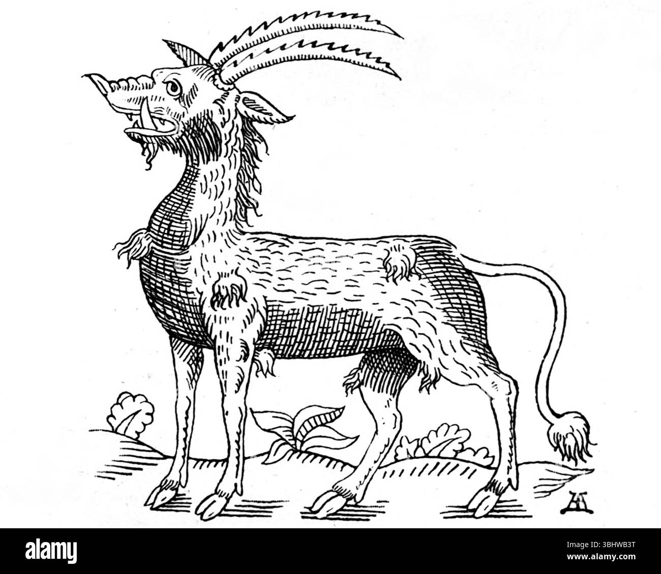 John Ashton - curieuses créatures en zoologie - 1890 - 'Antalope' dans 'L'histoire des bêtes à quatre pattes' (1607) Banque D'Images