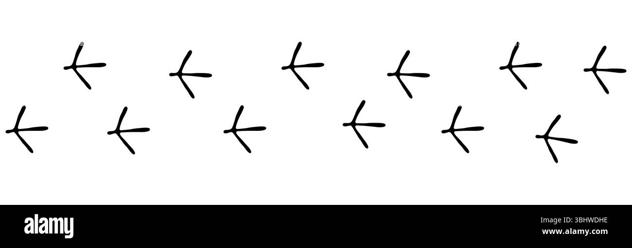 Empreinte d'oiseau piste de pied de poulet, empreinte de pied, pas de patte dessiné à la main doodle. Esquissez une dinde simple, un sentier de poule. Marque de marches de la marche-corbeau. Illustration vectorielle Illustration de Vecteur
