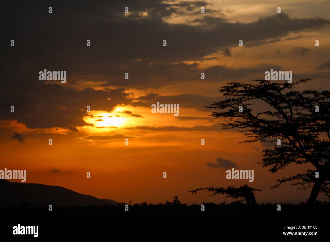 Le soleil traverse des nuages sombres alors qu'il se couche contre un ciel orange ardent au Kenya. Les ombres des arbres fébriles et des montagnes bordent le cadre inférieur. Banque D'Images
