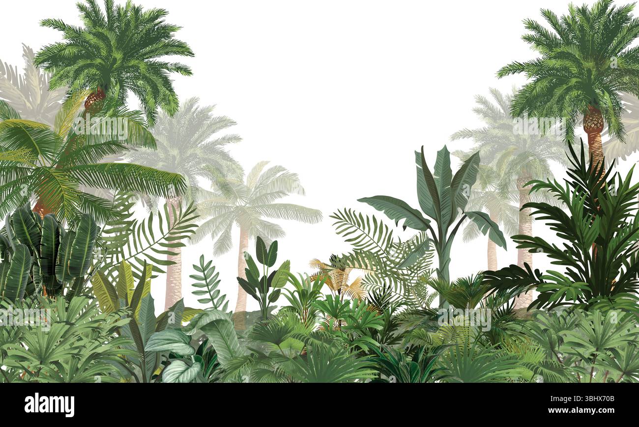 Bordure murale botanique minimaliste : premier plan de paysage jungle vert fané Banque D'Images