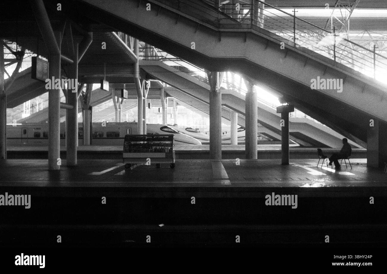 Trains à grande vitesse à la plate-forme de la gare de Nanjing, Jiangsu, Chine Banque D'Images