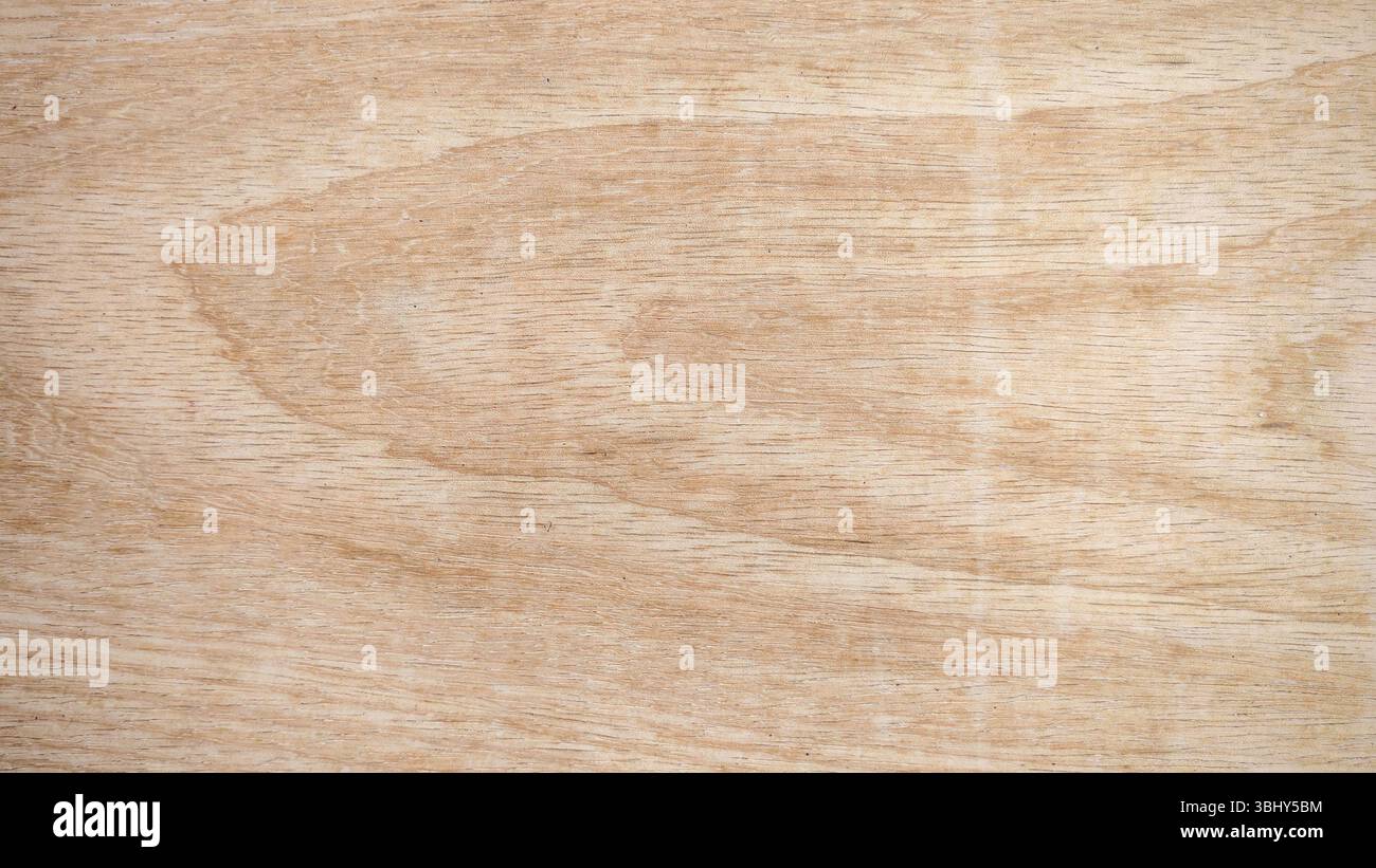 Gros plan sur la texture de grain de bois naturel Banque D'Images