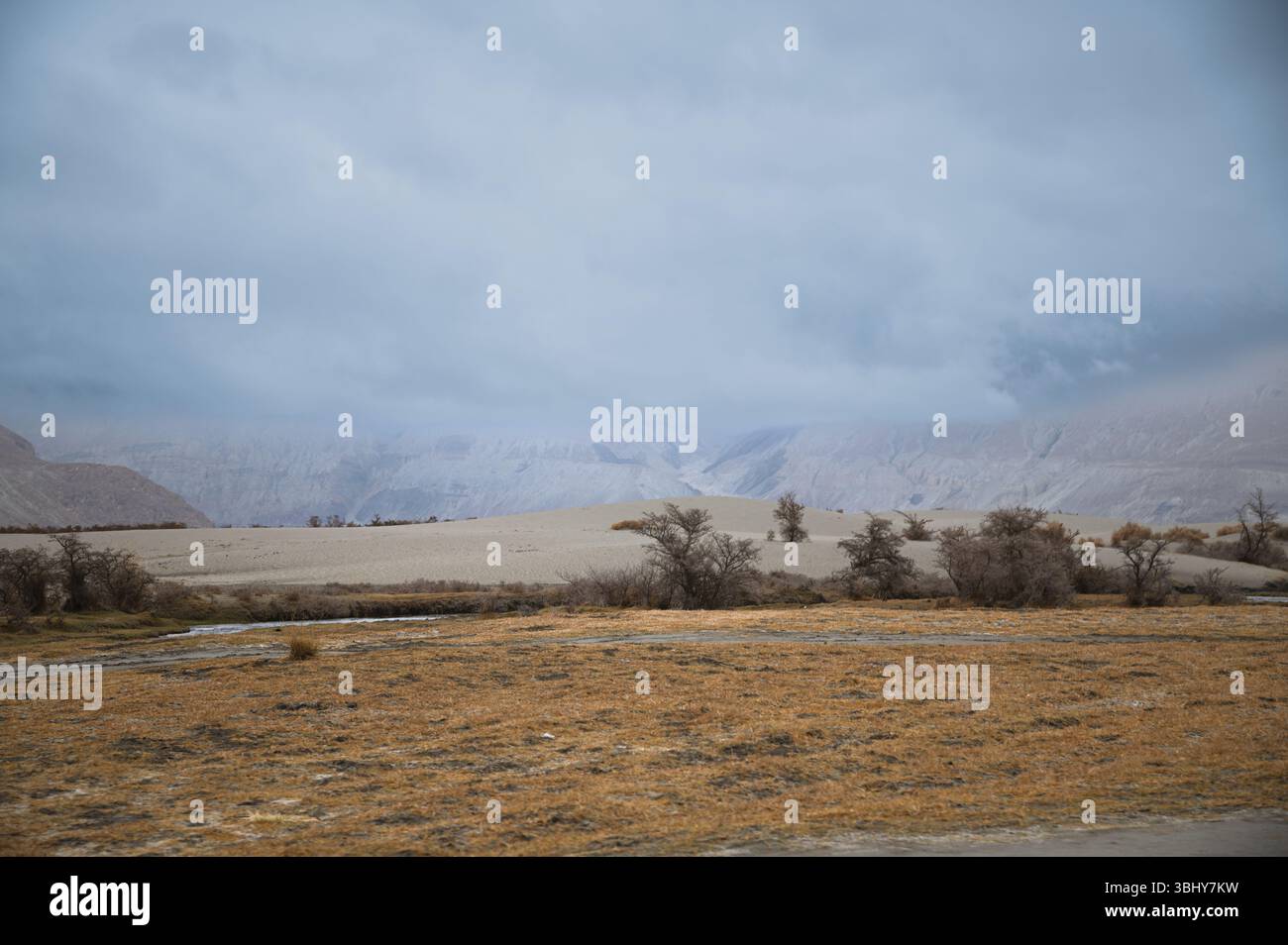 Désert de Hunder avec sable blanc, végétation jaune, brume matinale et sommets de l'Himalaya Banque D'Images