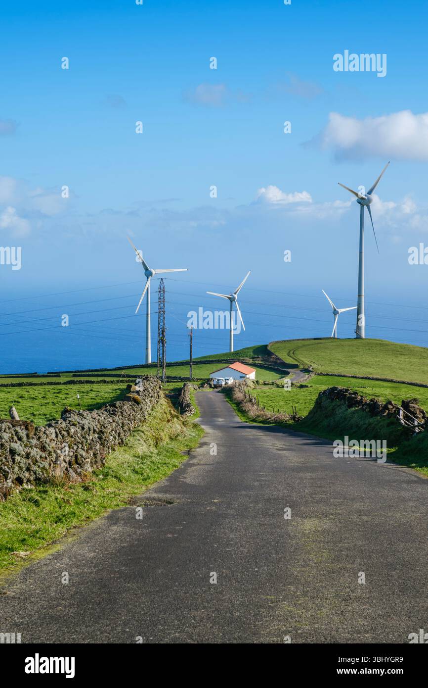 Route rurale serpentant à travers Green Hills avec éoliennes sur l'île de Terceira. Paysage d'énergie renouvelable, nature des Açores, ciel bleu, campagne paisible Banque D'Images